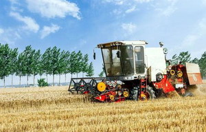 Grain Harvester