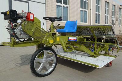 Rice Seedling Transplanter